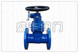 鎖閉式軟密封閘閥